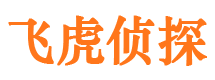 龙川市婚姻调查